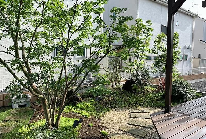 006 (1)