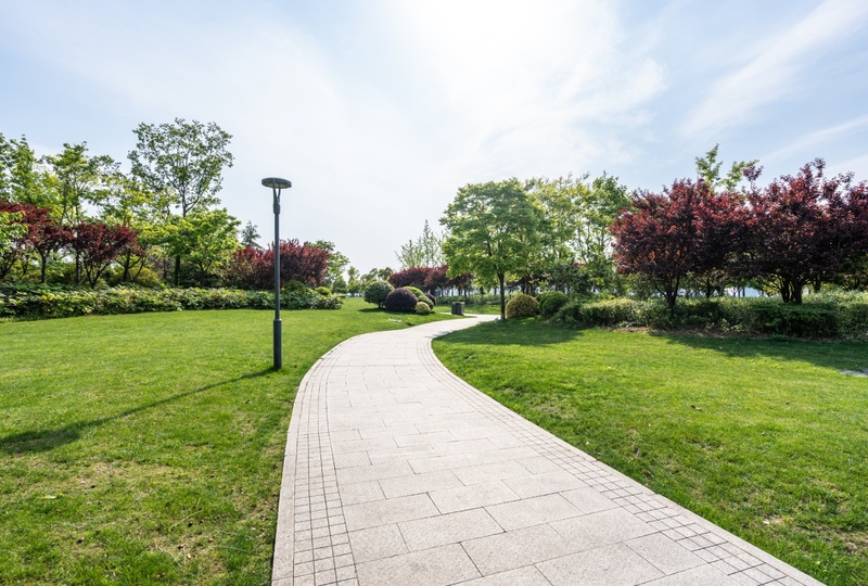 AdobeStock_343140260 (1)