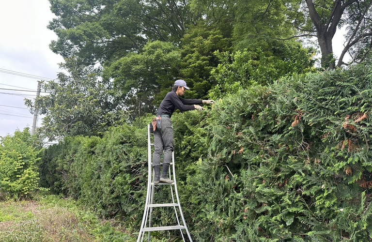 庭木トラブル解決！プロの庭師が太田市の植物にスッキリ対応