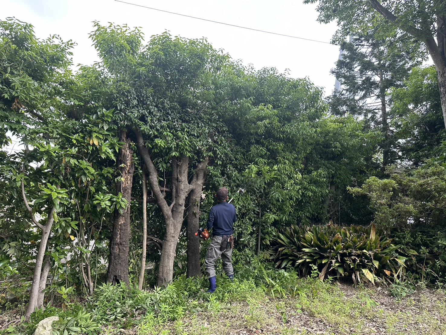 施工からメンテナンスまで
