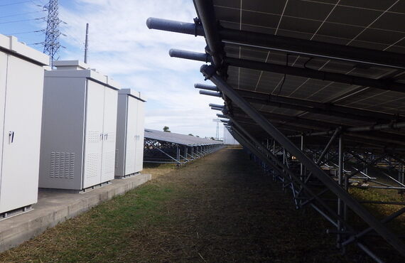 太田市で植物のお悩み解決！美しい外構を実現