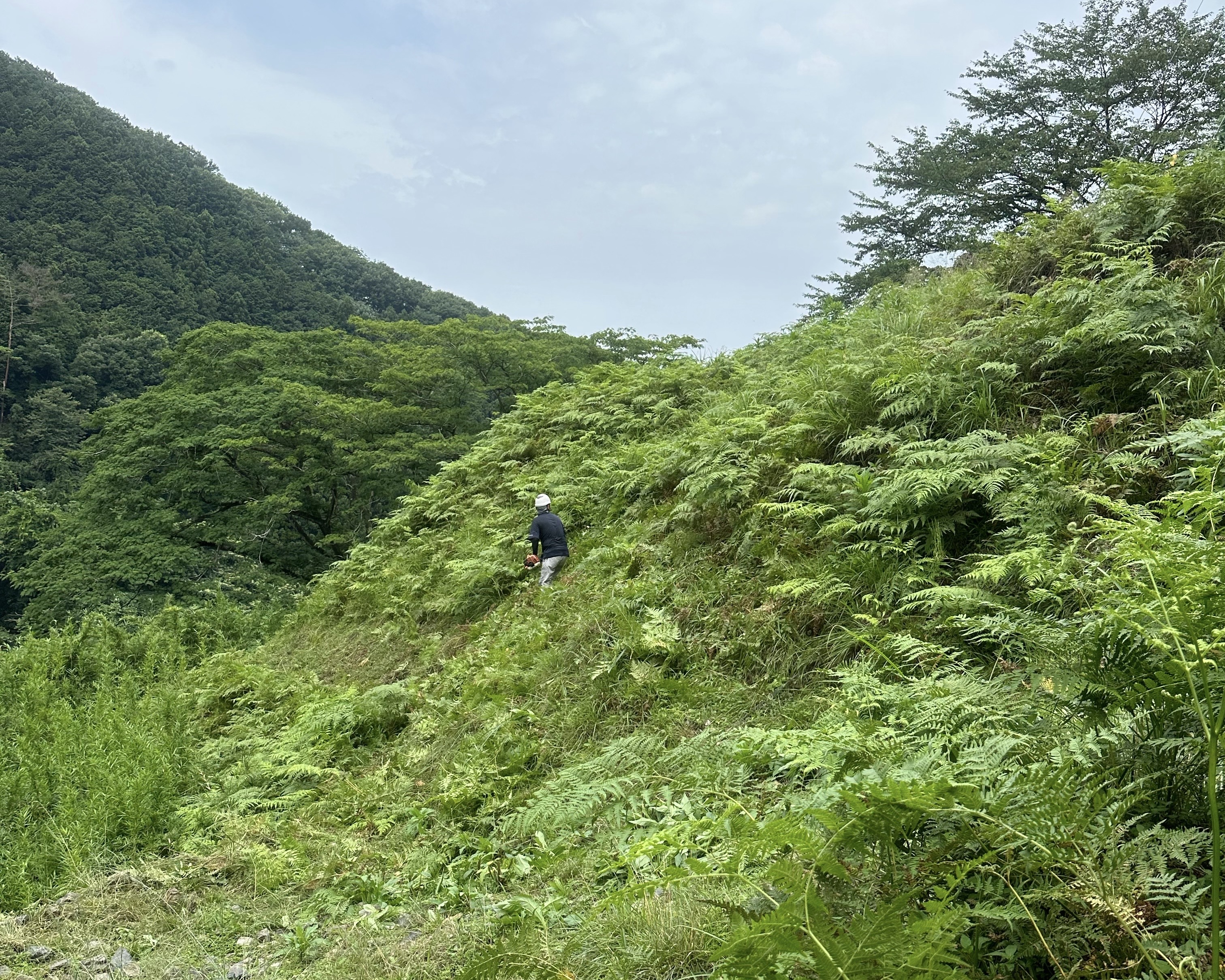 太田市の庭を美しく整える専門家による除草サービス