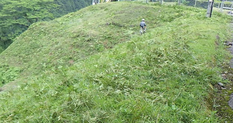5. 除草作業の事例紹介