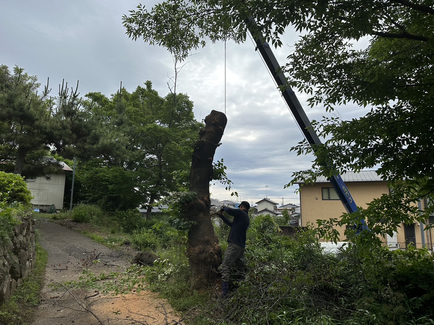 太田市で庭木撤去をお考えの方へ<br>確かな技術と柔軟な提案で理想のお庭へ