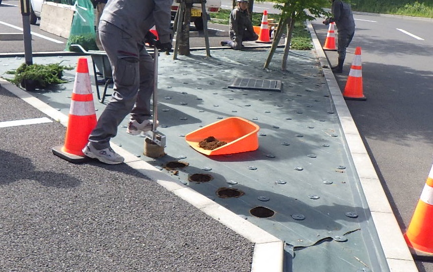 5. 切り取りと仕上げ作業
