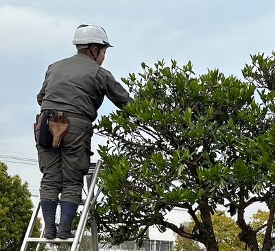 5. お庭に関する相談窓口