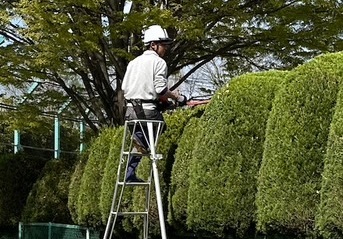 7. お問い合わせ・ご相談